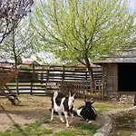 Ethno Village Stanisici Szálloda 2*
