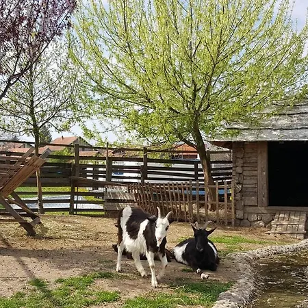 Ethno Village Stanisici ホテル 2*