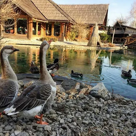 Ethno Village Stanisici ホテル 2*