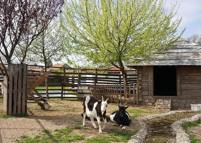 Ethno Village Stanisici 酒店 2*