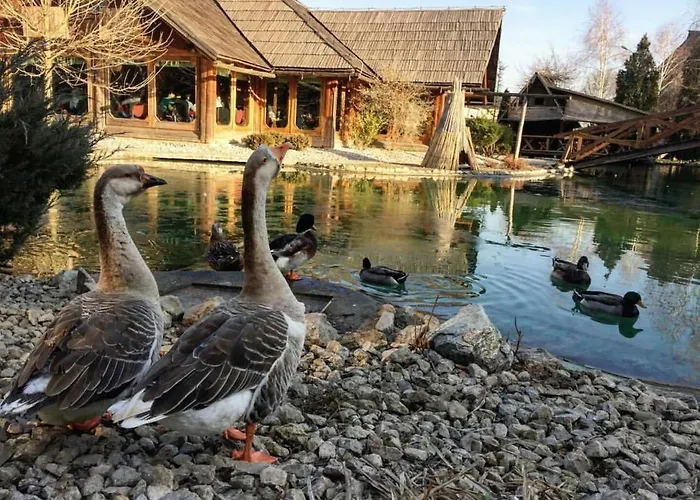 Ethno Village Stanisici 酒店 2*